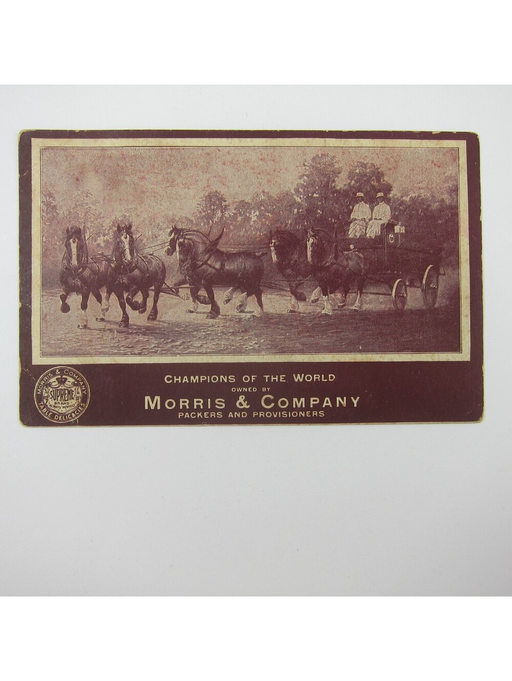 Postcard Morris & Company Supreme Brand Horses Champions of the World Antique